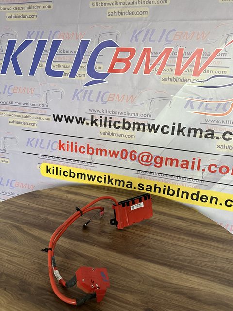 BMW F20 116 118 120 ÇIKMA ORJİNAL ARTI KUTUP BAŞI